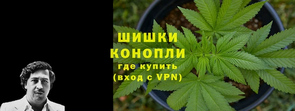 трава Магадан