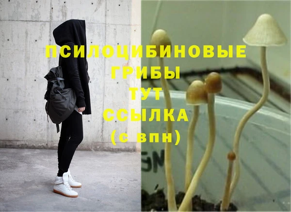 прущая мука Магас