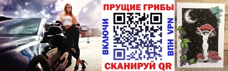 цена Кемерово Галлюциногенные грибы прущие грибы
